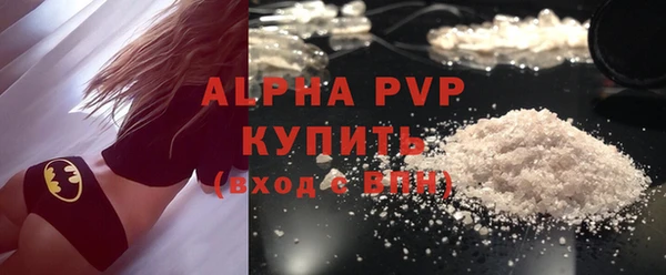 стаф Магас