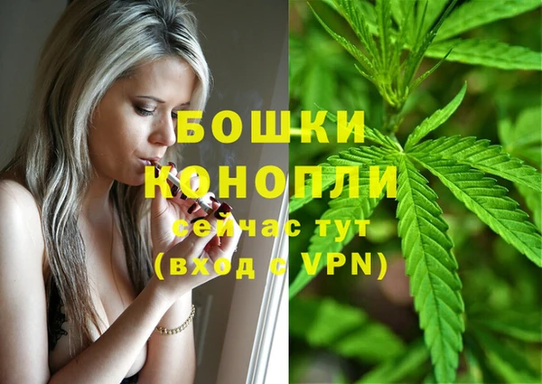ECSTASY Майский