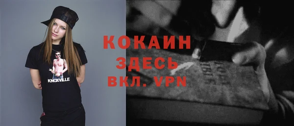 стаф Магас