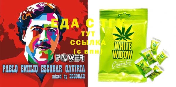 стаф Магас