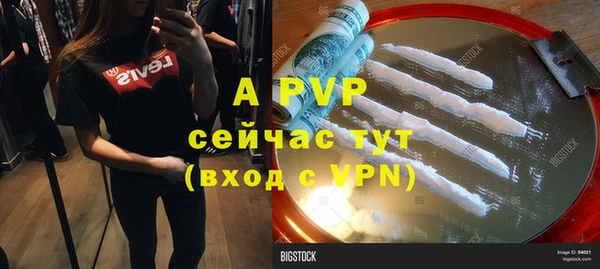 стаф Магас