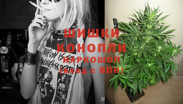 ECSTASY Майский