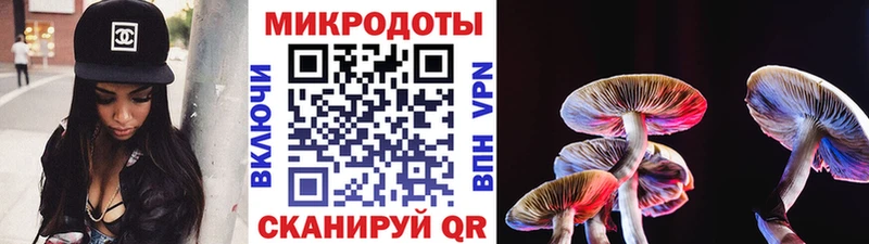 Галлюциногенные грибы прущие грибы  Приволжский 