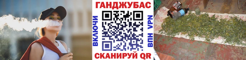 МАРИХУАНА гибрид Приволжский